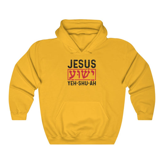 Unisex Heavy Blend™ Hooded Sweatshirt JESUS